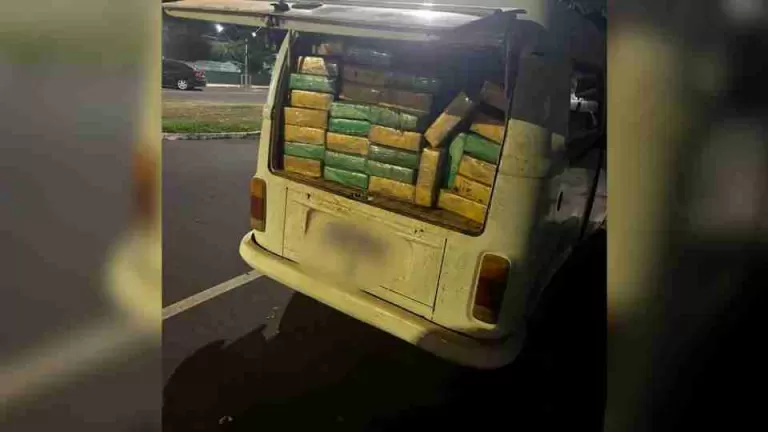 Mais de meia tonelada de maconha é encontrada dentro de Kombi em Altônia