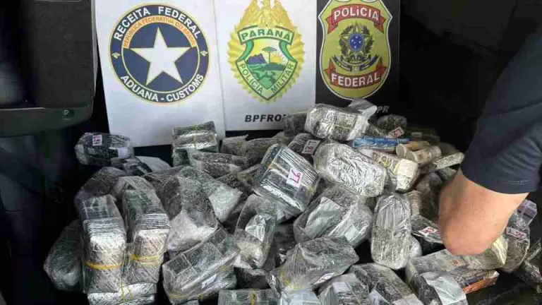 Carga de medicamentos e anabolizantes avaliada em US$ 20 mil é apreendida na BR-277
