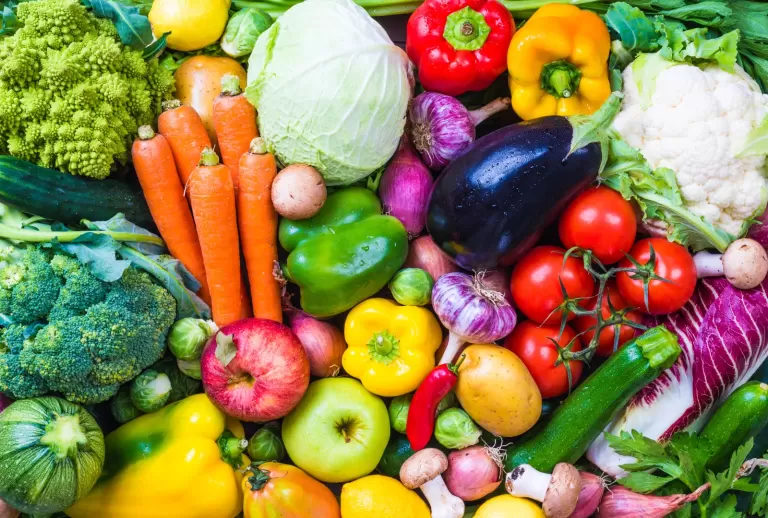 Programa de alimentação escolar abre oportunidade de negócio a produtores do Paraná