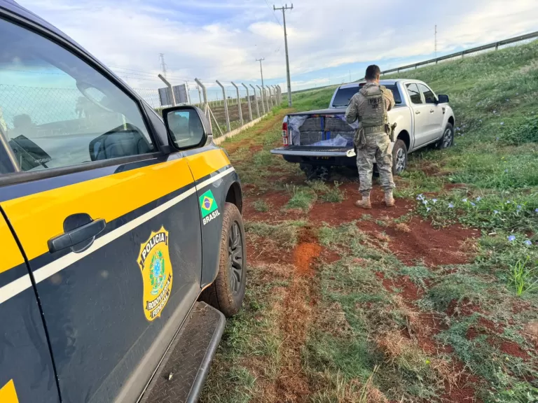 Homem é preso com quase uma tonelada de maconha após perseguição no Oeste do Paraná