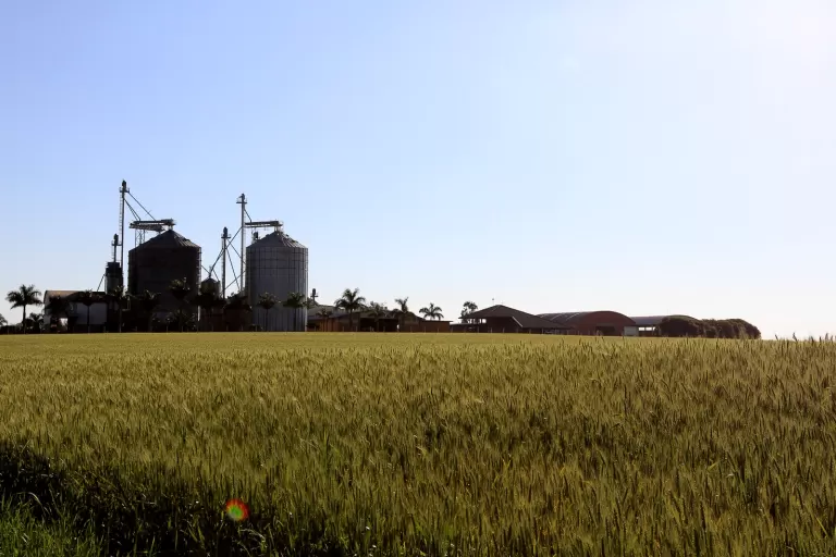 Sistema Faep discorda da tabela 2026 de Valor da Terra Nua no Paraná