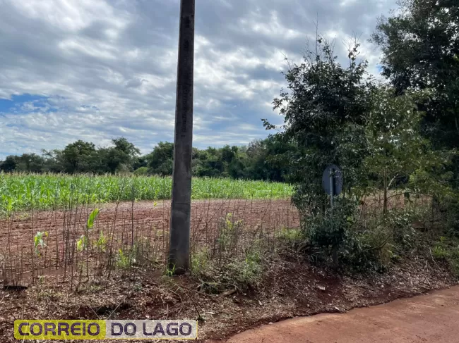 Ossada humana é encontrada em área rural em Missal