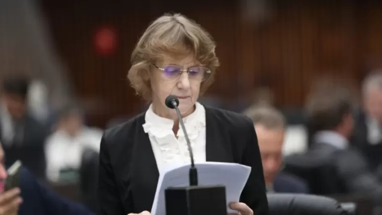 Deputada Luciana Rafagnin propõe campanha de educação nas escolas para meninos e homens contra a violência à mulher