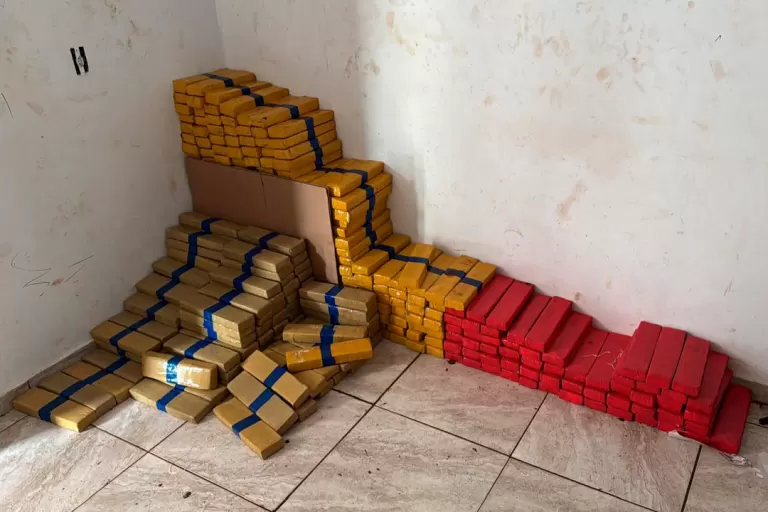 Maior apreensão do ano: Polícia Civil encontra 4,1 toneladas de maconha em Foz do Iguaçu