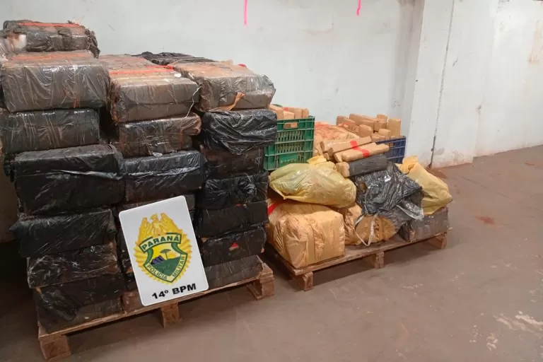 PM apreende 882 quilos de maconha em área de mata no Oeste