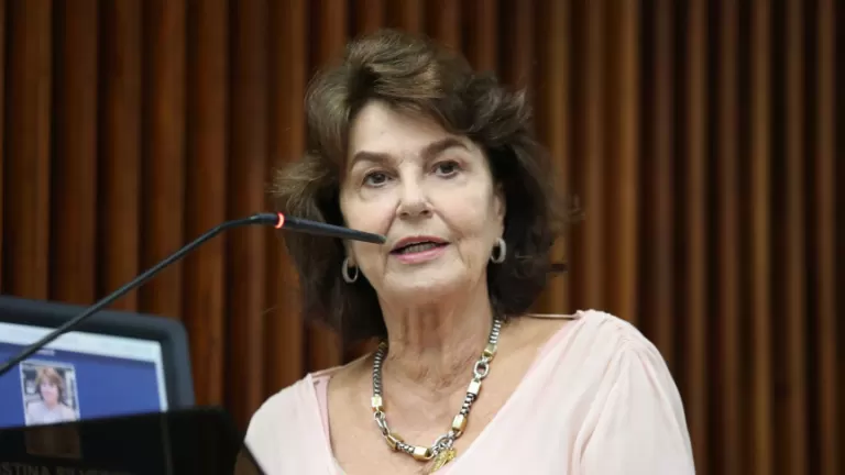 Projeto de lei propõe diretrizes para criação de grupos de apoio a mulheres em situação de violência no Paraná