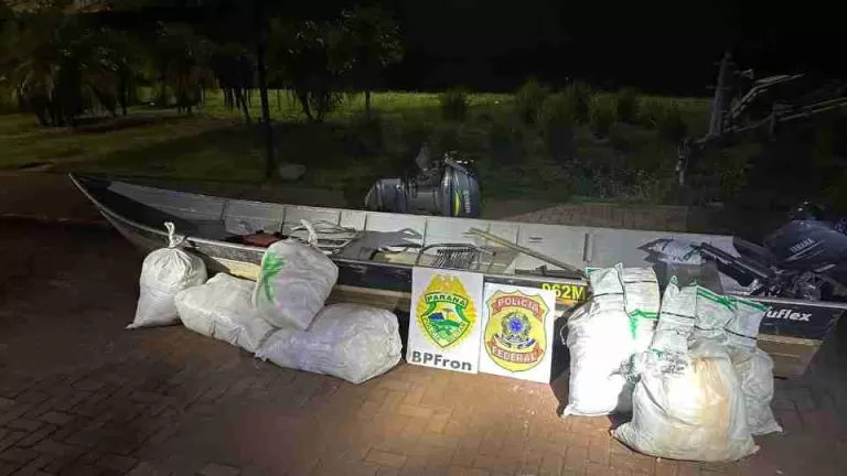 PF e BPFron apreendem 200 quilos de agrotóxicos paraguaios e prendem homem em Guaíra