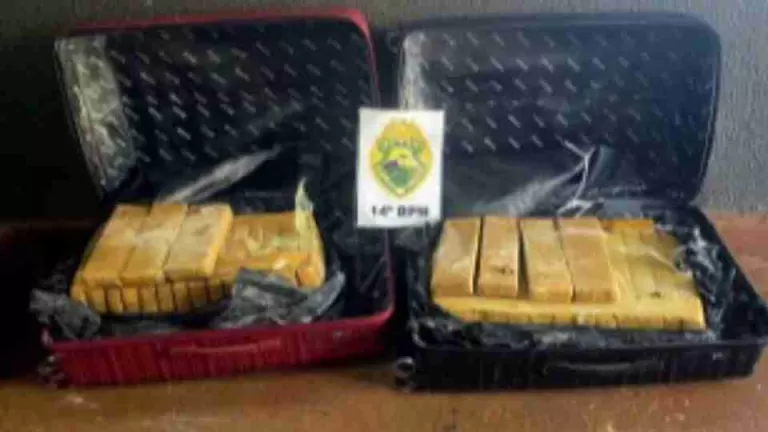Polícia Militar apreende quase 50 quilos de maconha em pousada de Foz do Iguaçu
