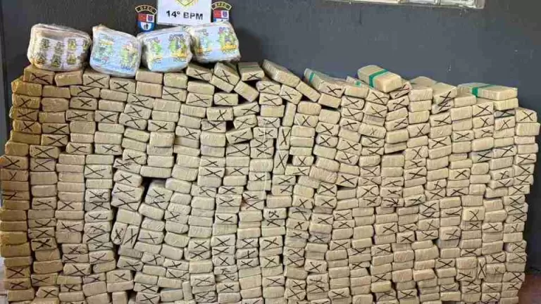 PM apreende quase meia tonelada de drogas em casa de Foz do Iguaçu