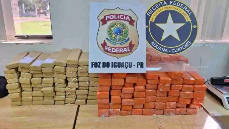 166 quilos de maconha são apreendidos em caixas enviadas para outros estados em Foz do Iguaçu