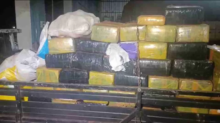 Operação conjunta apreende cerca de três toneladas de maconha em barracões de Sede Alvorada