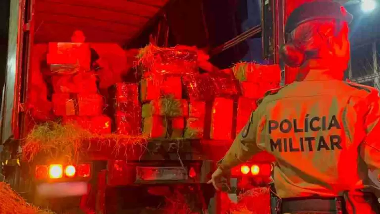 Argentino é preso com mais de 4,5 toneladas de maconha na BR-277 em Santa Tereza do Oeste