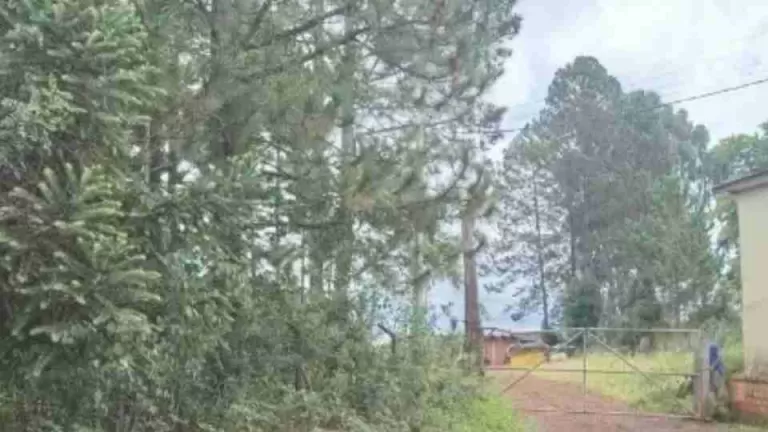 Crianças encontram bebê recém-nascido morto em pátio de empresa