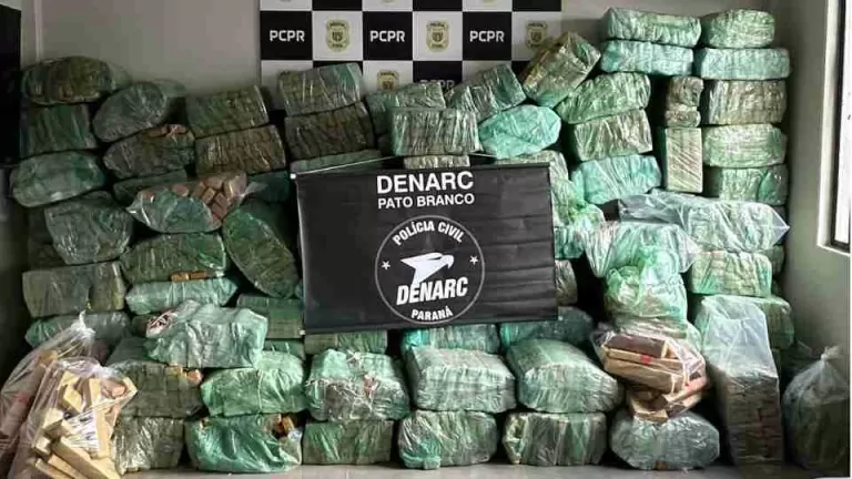 Denarc apreende 2,3 toneladas de maconha escondidas em carga de milho