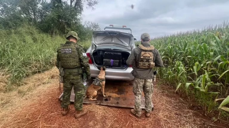 Motorista abandona carro com 300 quilos de maconha após fuga no interior de Guaíra