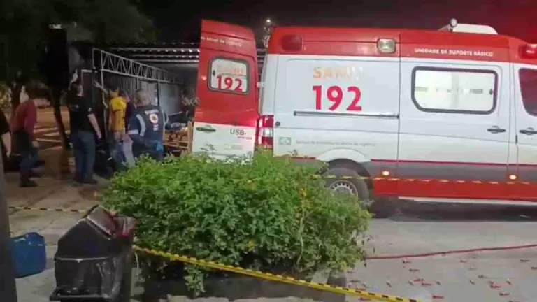 Motorista derruba portão e invade pátio da delegacia em Toledo