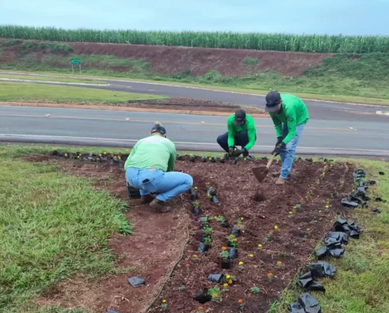 Investimento em arborização vai transformar entradas de Entre Rios do Oeste