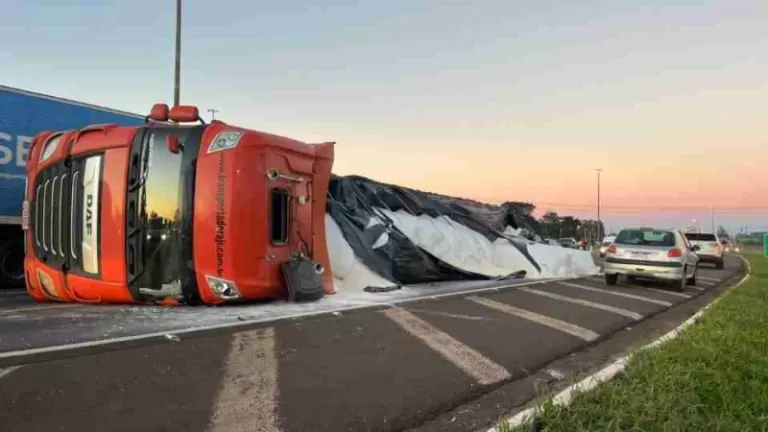 Caminhão carregado com 30 toneladas de farinha tomba em rodovia da região
