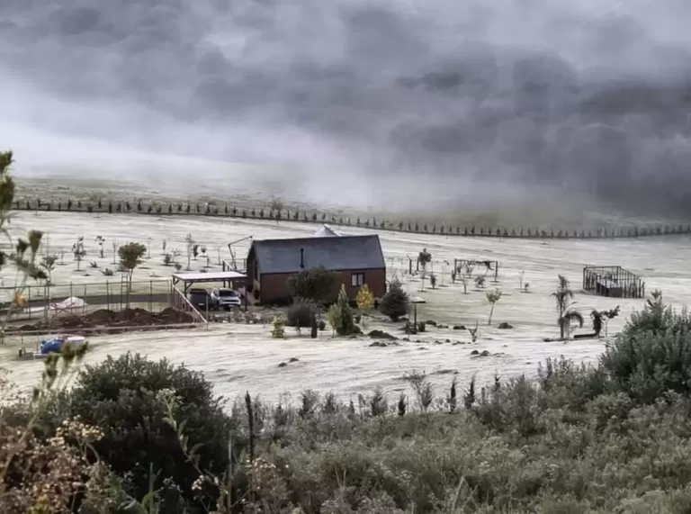 Geada faz campo parecer coberto de neve no Paraná
