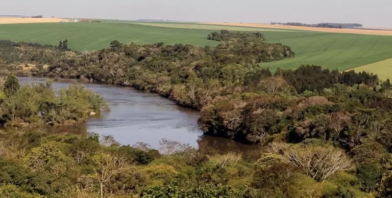 Após atuação do Sistema Faep, produtor rural tem prazo maior para negociar multas ambientais