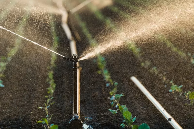 Atendendo pleito do Sistema Faep, Estado prorroga isenção do ICMS a produtos do agro