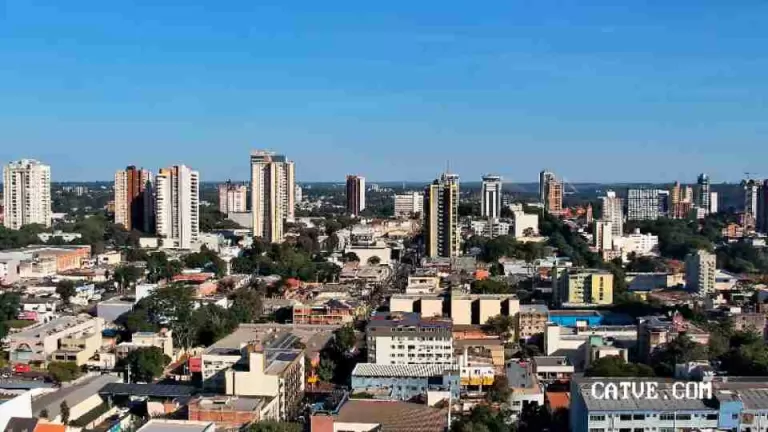 Município do Oeste do Paraná registra 207 casos de esporotricose em animais e 25 em humanos em 2026