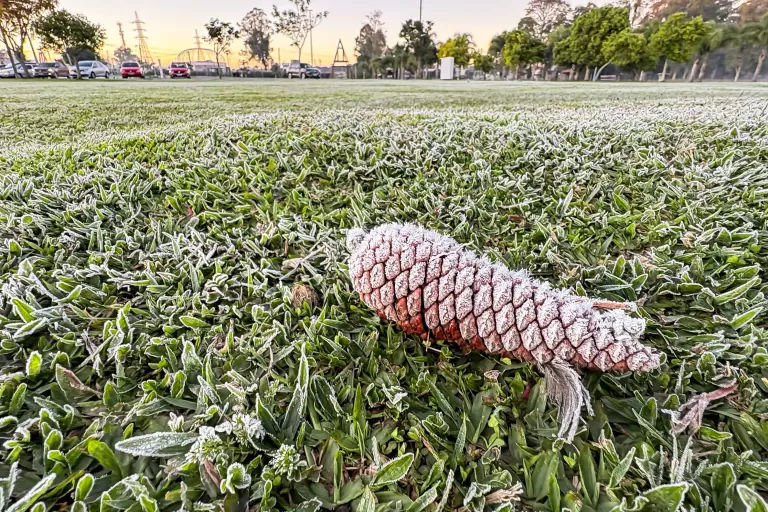Sinais de inverno: maio terá frentes frias, geada e temperaturas abaixo de 10°C