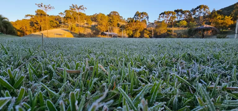 Paraná tem geada pelo segundo dia seguido; veja onde foi registrada a menor temperatura do Estado