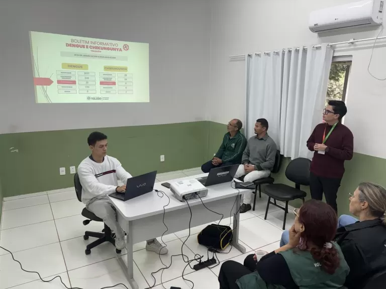 Toledo acende alerta para crescimento de casos de febre chikungunya