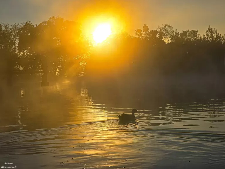 Junho começa com sol, manhã fria e tarde agradável no Paraná