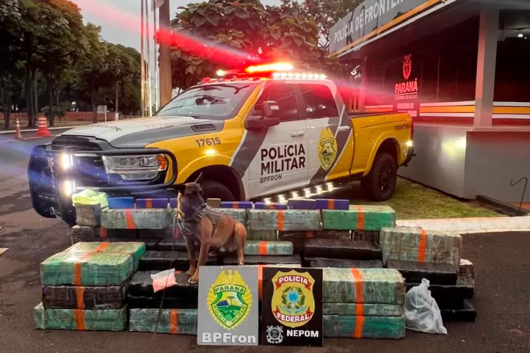 Forças de segurança apreendem quase três toneladas de drogas em operações no Oeste