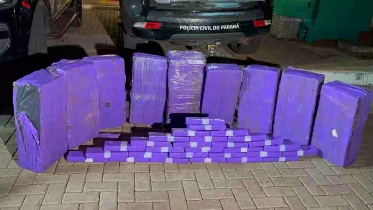 Polícia apreende 235 quilos de maconha em veículo na BR-277 em Céu Azul