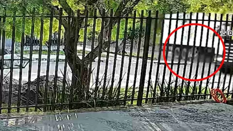 VÍDEO: brincando com uma bola, menino de 12 anos é atropelado