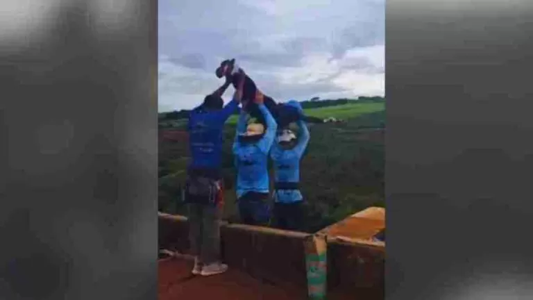 Últimas postagens de jovem mostram momentos antes de salto que terminou em tragédia
