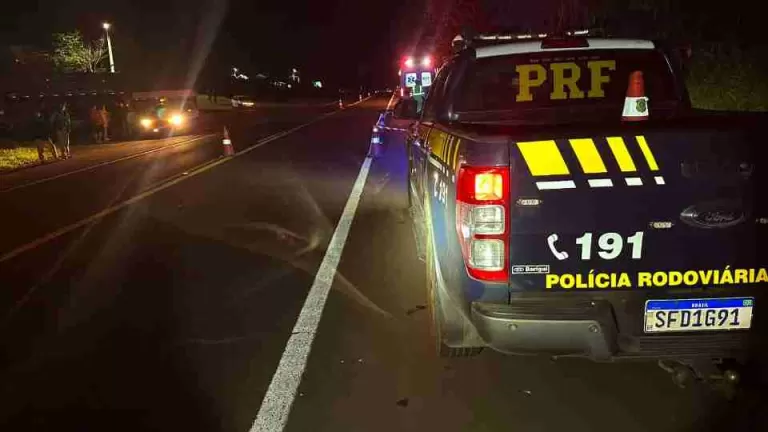 Mulher morre após ser atropelada na BR-369