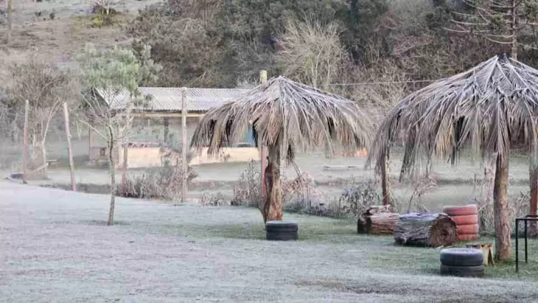 Paraná registra temperaturas negativas e amanhece coberto por geada em diversas cidades