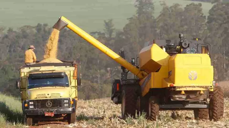 Paraná consolida safra de verão recorde puxada pela soja e milho, aponta boletim do Deral