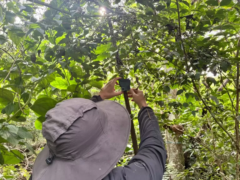 Itaipu e Embrapa realizam inventário de fauna para monitorar “infraestrutura verde” que protege o reservatório