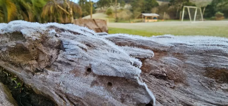 Geada cobre gramados em General Carneiro; cidade registrou mínima de -1,8°C