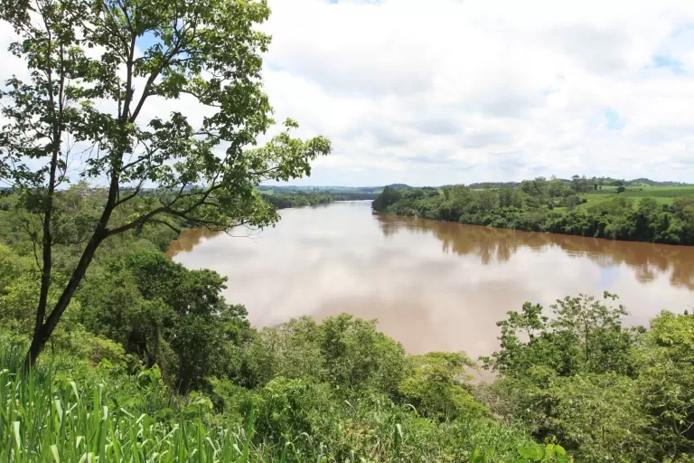 Novo decreto federal amplia possibilidades de pagamento por serviços ambientais ao agro, mas ainda exige regulamentação