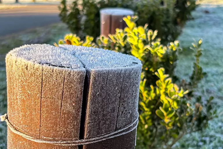 Paraná entra em alerta para frio intenso e risco de doenças respiratórias