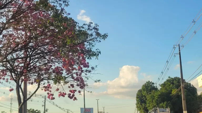Com dias típicos de outono, Paraná terá mínimas de 5°C e alerta de tempestade