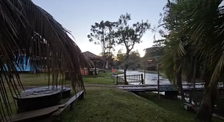 Paraná amanhece com geadas e temperaturas negativas; veja imagens e previsão do tempo