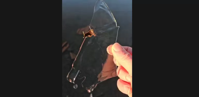 Vídeo mostra açude congelado após manhã de frio extremo no Paraná