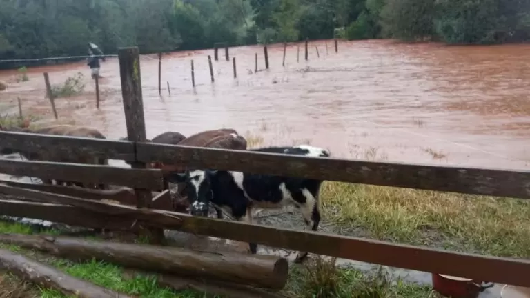 Chuva de quase 200 milímetros cancela aulas, eleva nível de rios e deixa estragos no Rio Grande do Sul