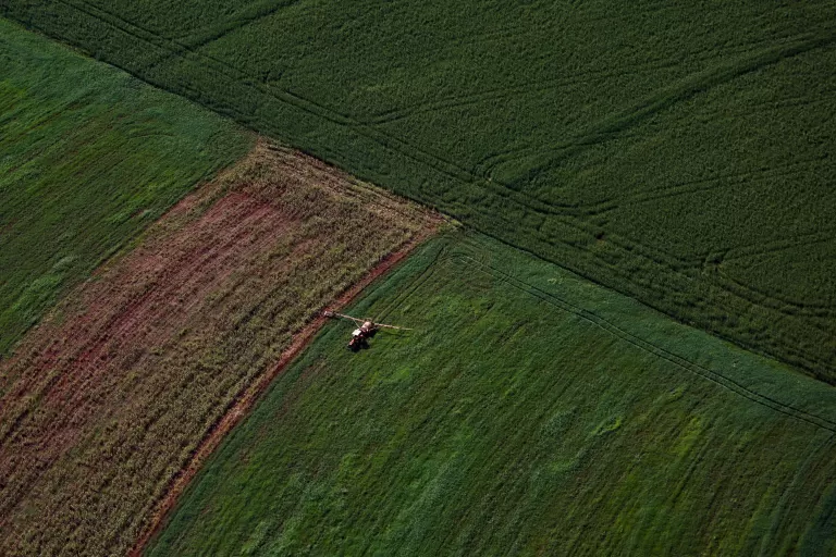 VBP Agropecuário do Paraná cresce 13% e alcança R$ 212,6 bilhões em 2025