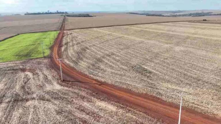 Mais energia e menos risco de quedas: novo circuito elétrico entra em operação em Maripá