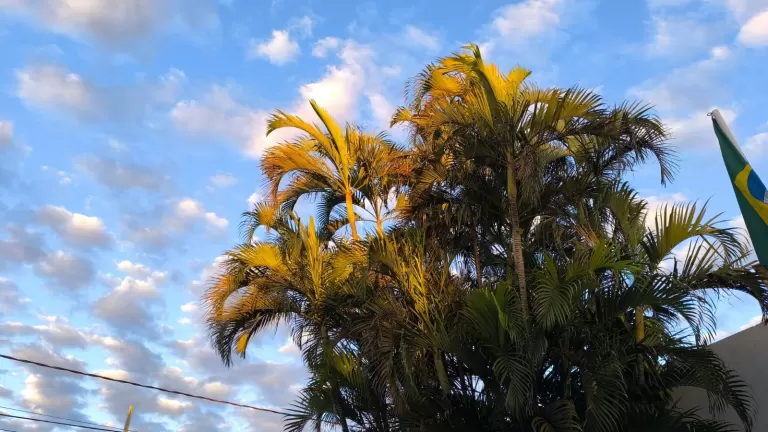 Paraná terá quarta-feira de sol antes da chegada de nova onda de frio