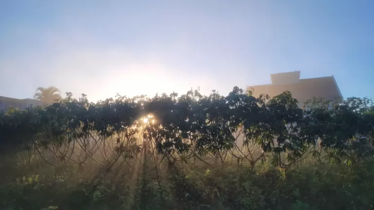 Frio segue firme no Paraná e segunda-feira começa com temperaturas abaixo dos 10°C